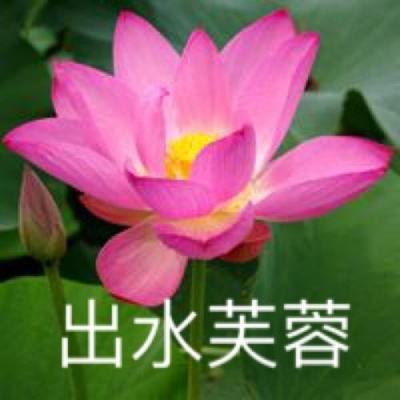 风起长安手机版下载